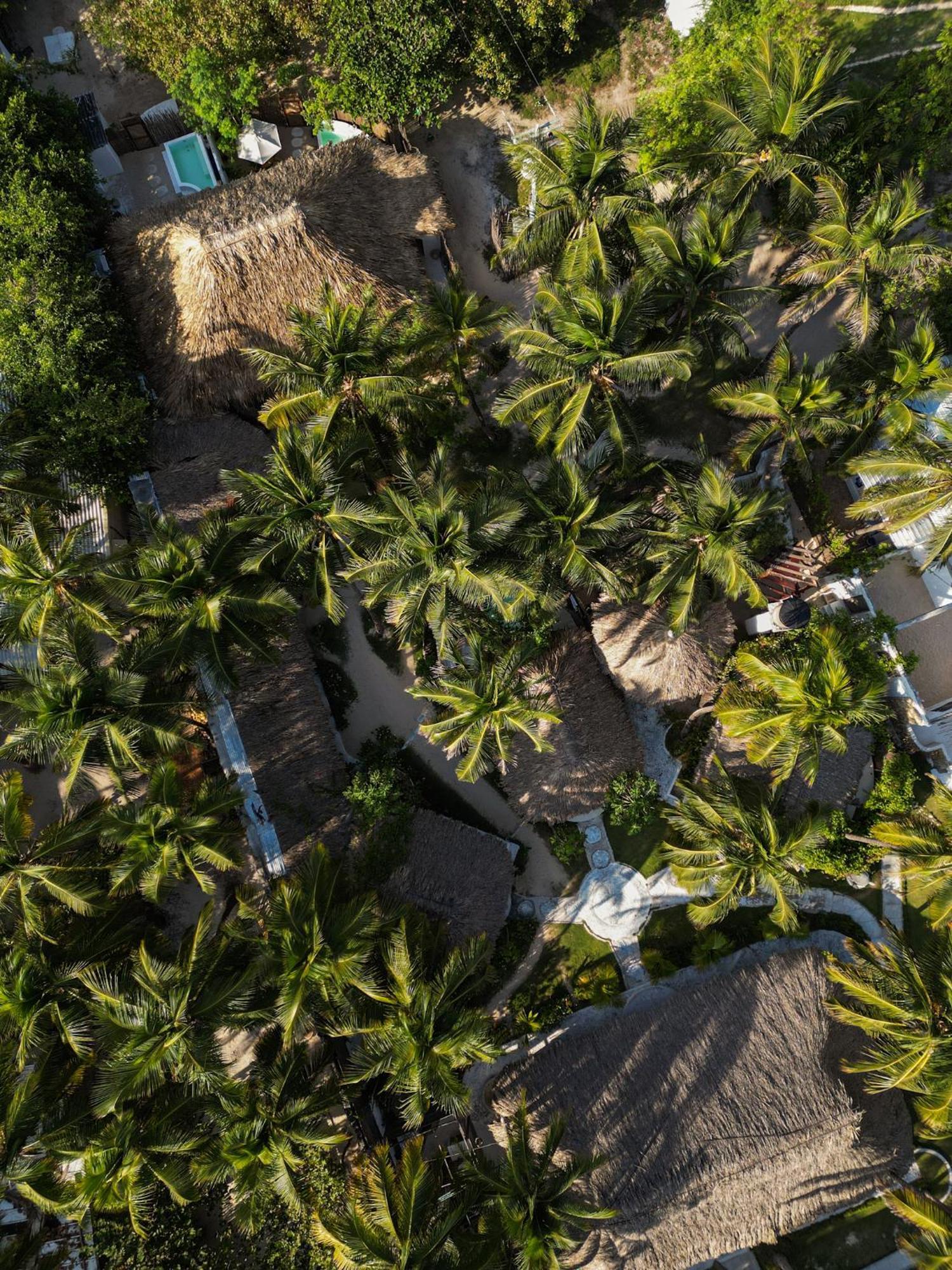Vista Mare Beach House Cano de Loro Екстериор снимка